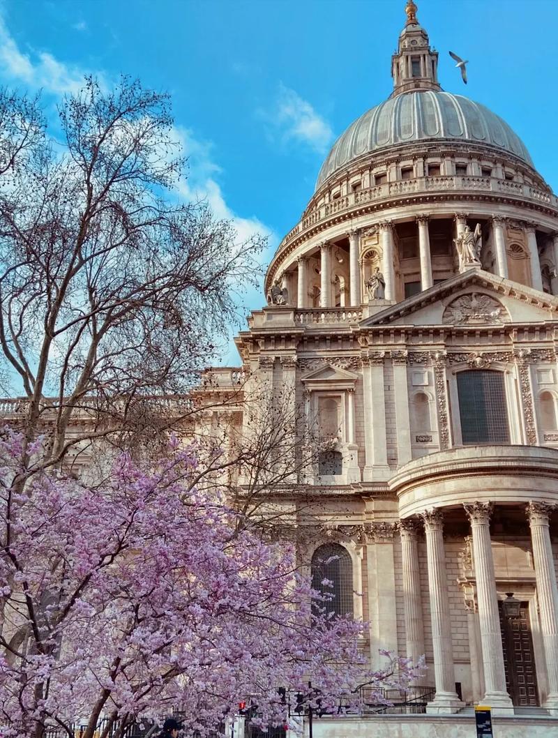 加州大学圣地亚哥分校